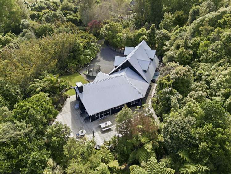 132 Maui Pomare Road Nikau Valley_43