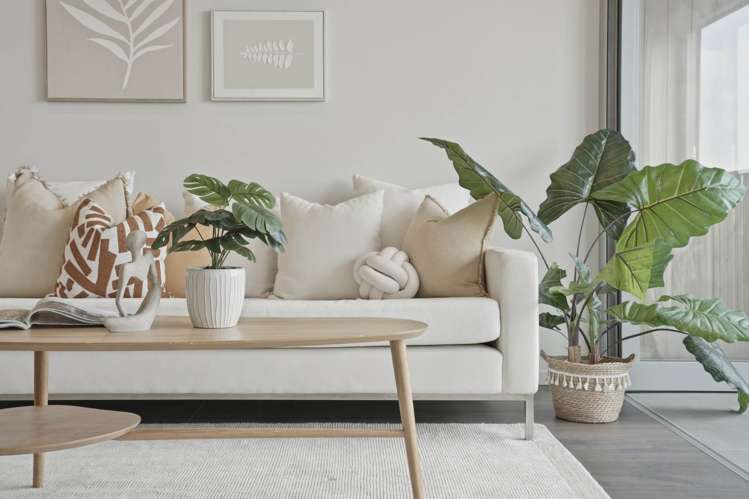 404/2A Munroe Lane_2