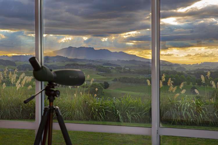 162 Checkley Road Raglan_10