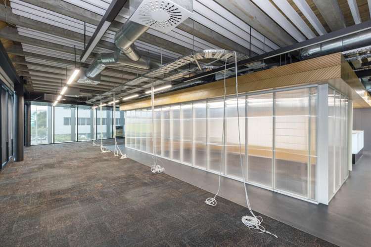 1/335 Lincoln Road Addington_10