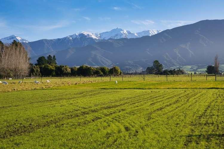 64 Kowhai Ford Road Kaikoura_13