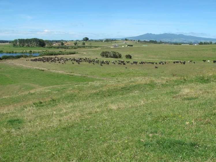 2/795 Tuhikaramea Road Ngahinapouri_15