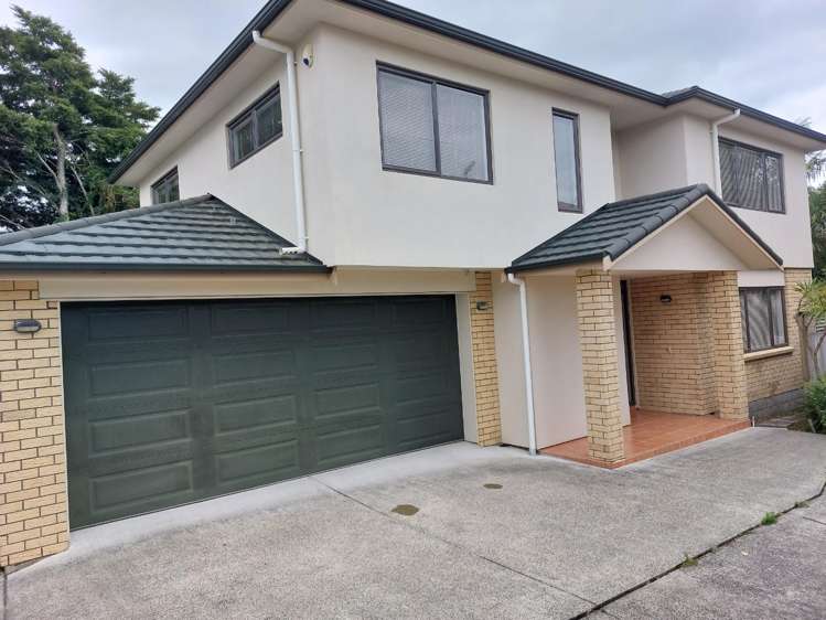 78a Nelson Street Howick_0