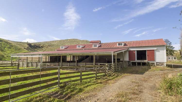 16451 Route 52 Masterton_11