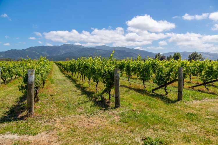 33 Rapaura Road Rapaura_5