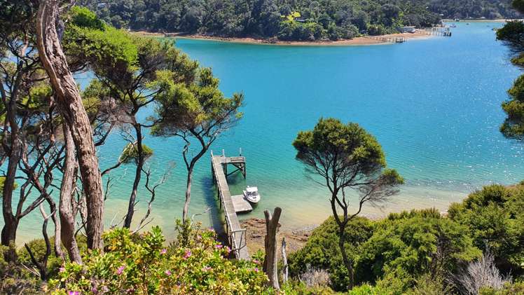 Lot 171/DP6849 North Cove Kawau Island_10