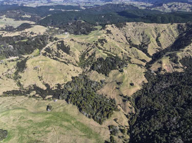 77 Remiger Road Puhoi_7