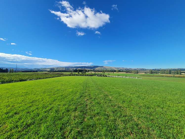 337 Mackenzies Road Waipara_12