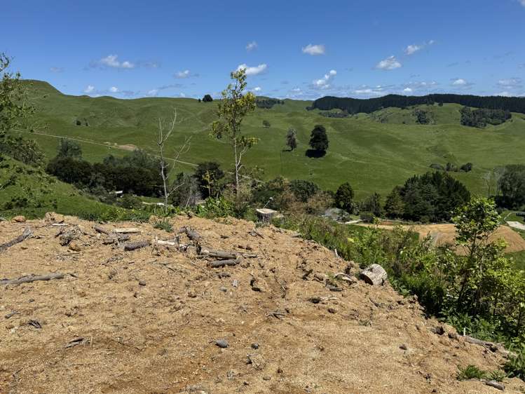 Lot 3 Brown Road Kawhia_17