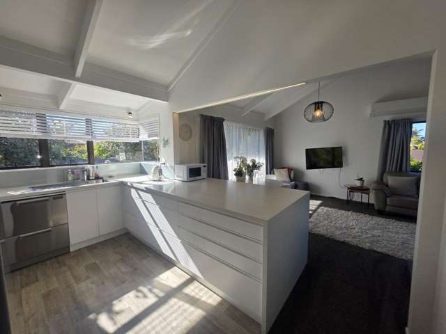 41 Sunrise Avenue 11229_4