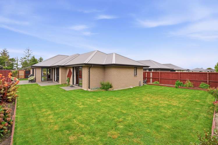 16 Pallid Green Rolleston_17