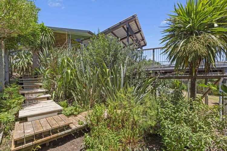 12 Park Drive Raglan_22