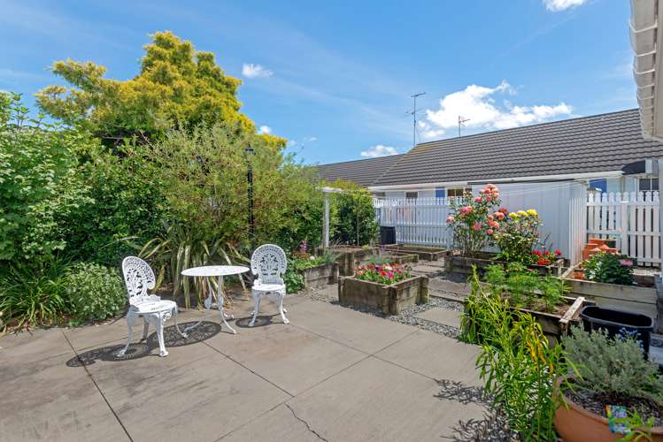 7a Gardner Place Inner Kaiti_15