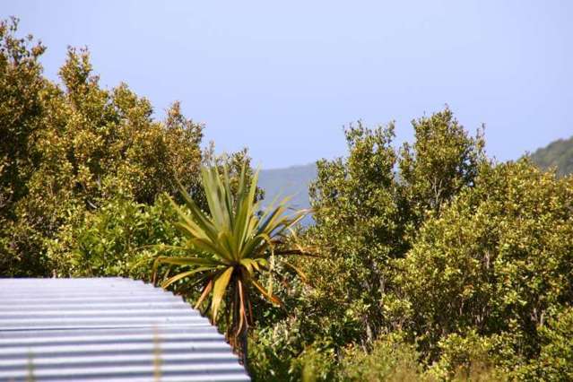 158 Horseshoe Bay Road Stewart Island/Rakiura_3