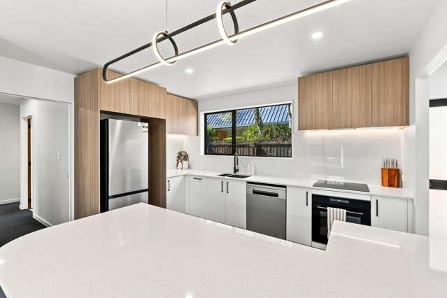 18 Briarmont Street Avondale_1