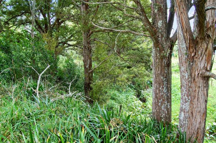 Lot 2/57 Marshall Road Kaiwaka_3