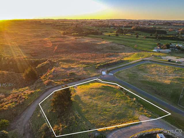 48 Clarkson Avenue Westmere_1