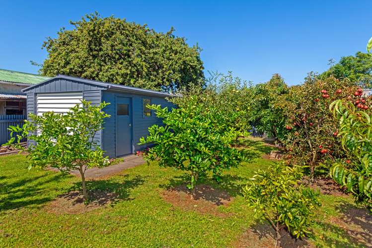 44 Albert Street Te Hapara_16