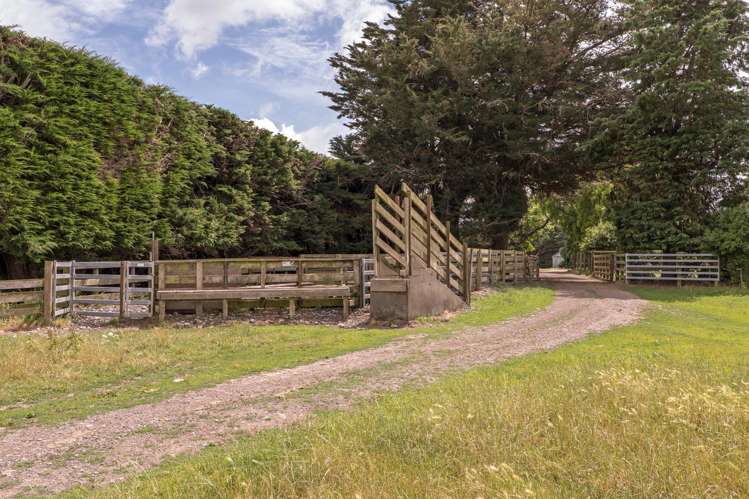 663 Boundary Creek Road Dunsandel_12