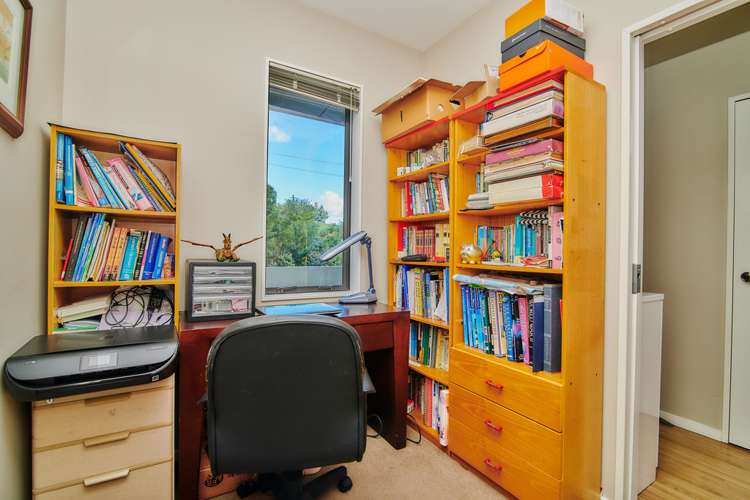 B407/525 East Coast Road Browns Bay_14