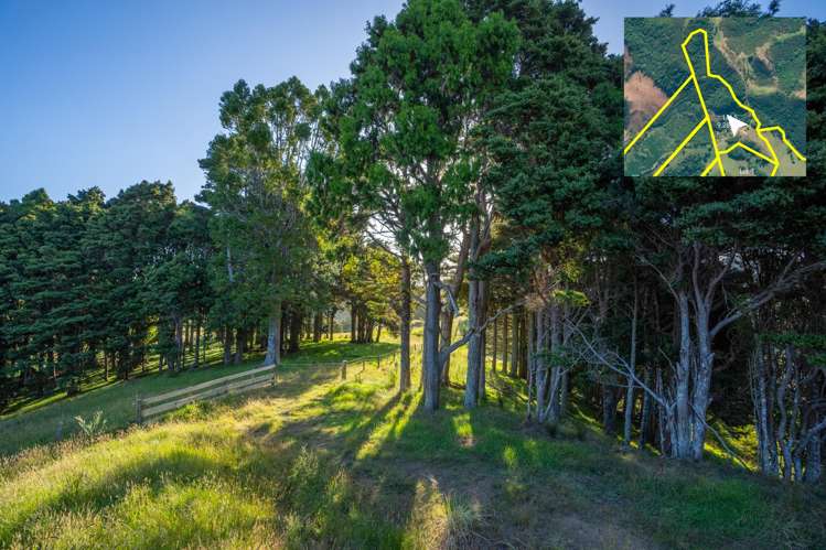 Telfer Road Parua Bay_47