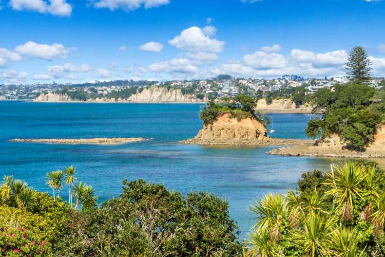 7 Ringwood Street Torbay_23