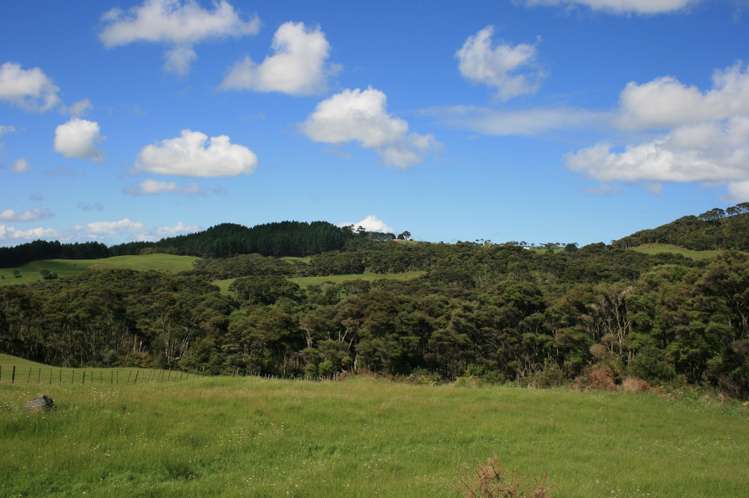 1295 Old North Road Helensville_0
