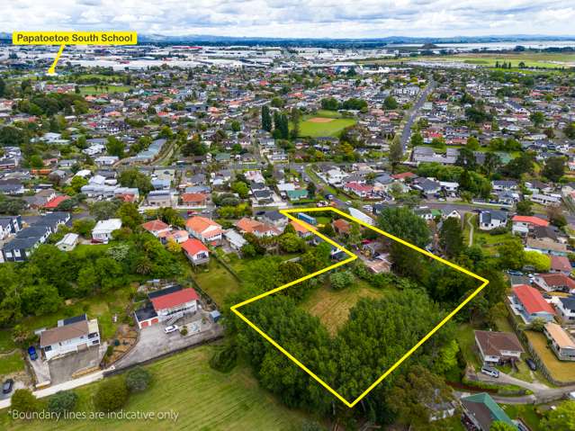 77 Hillcrest Road Papatoetoe_2