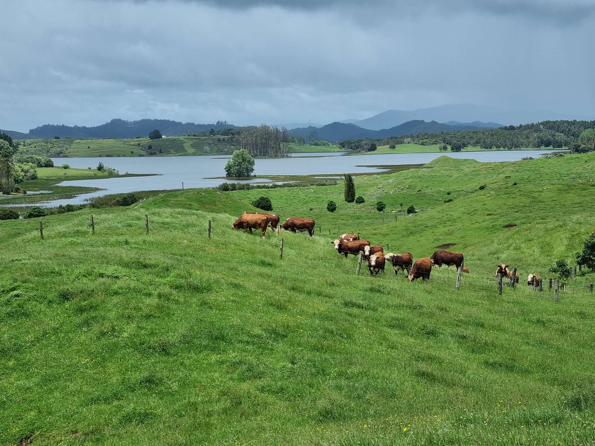 Pakaraka Map 267 Ludbrook Road | Pakaraka | Far North | Rural Property For Sale ...