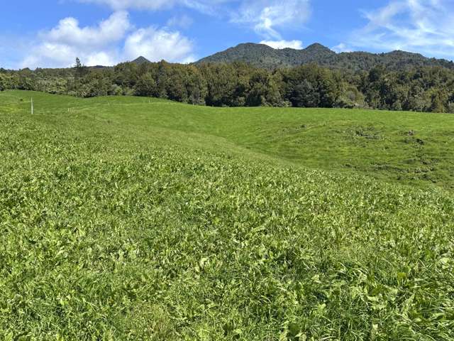 3/585 O'Shea Road Pirongia_1