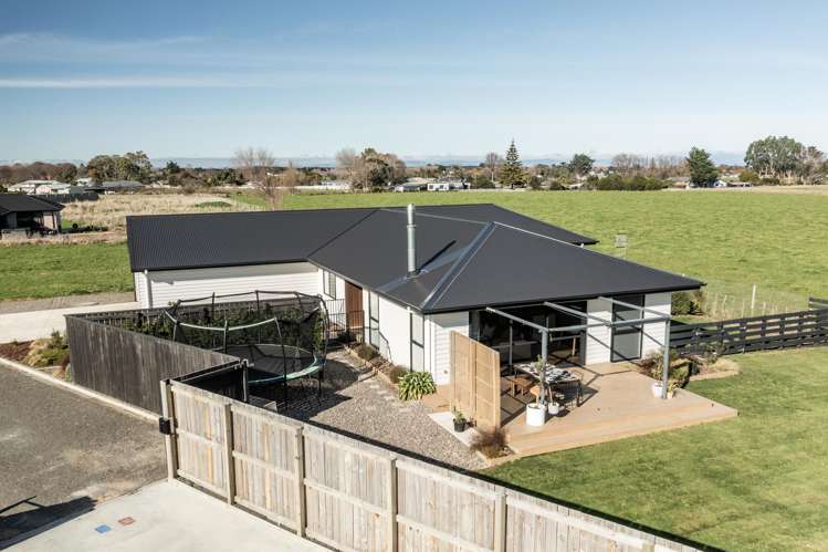 39 George Street Bulls_35