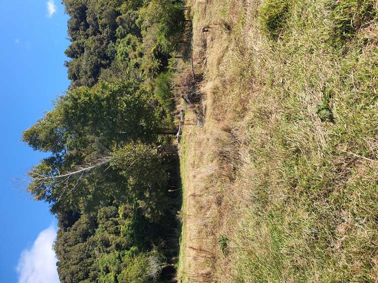 232 Woodstock-Rimu Road Ruatapu_13