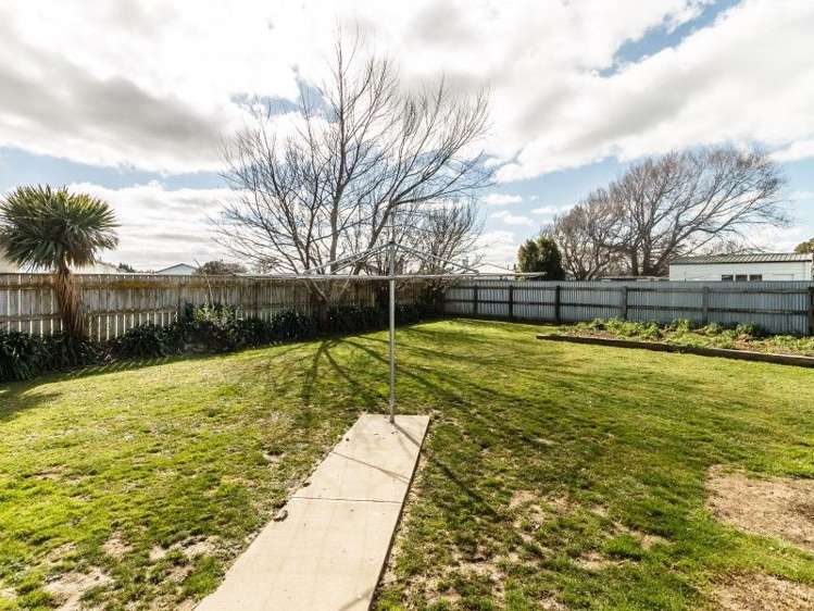 14 Kittyhawk Row Bulls_8