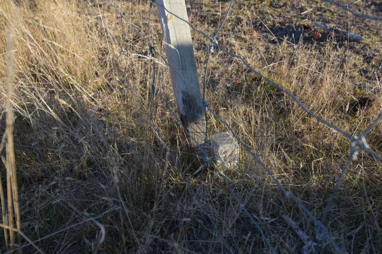 52 Woodley Avenue Twizel_6