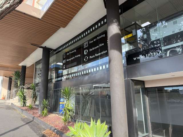 127 Newton Road Eden Terrace_2