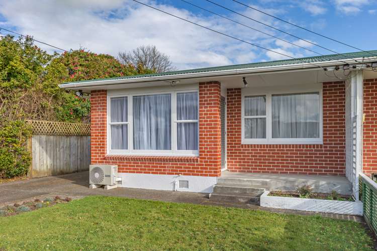 43 Trafalgar Street Levin_13
