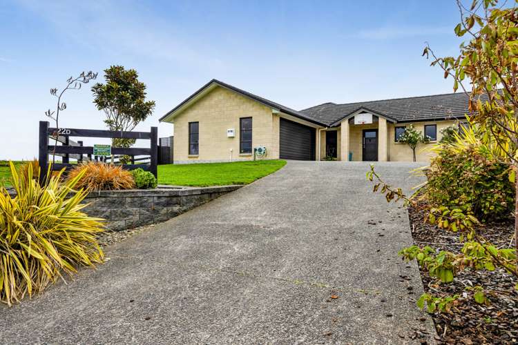 22d Larlin Drive Hawera_18