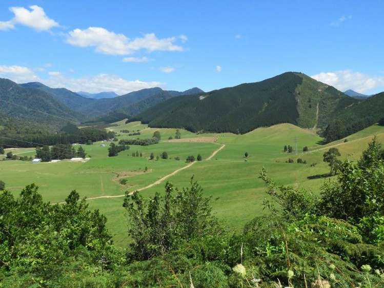 472 Maungatapu Road Rai Valley_11