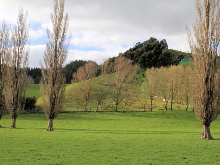 63 Waikupa Road Okoia_7