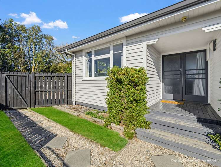 18 Catherine Street Tinwald_19