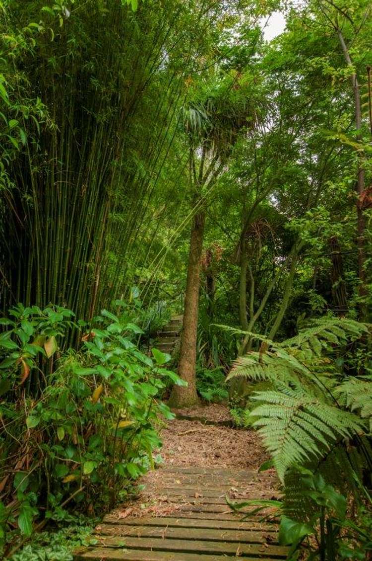 74 Moffat Drive Lincoln_17