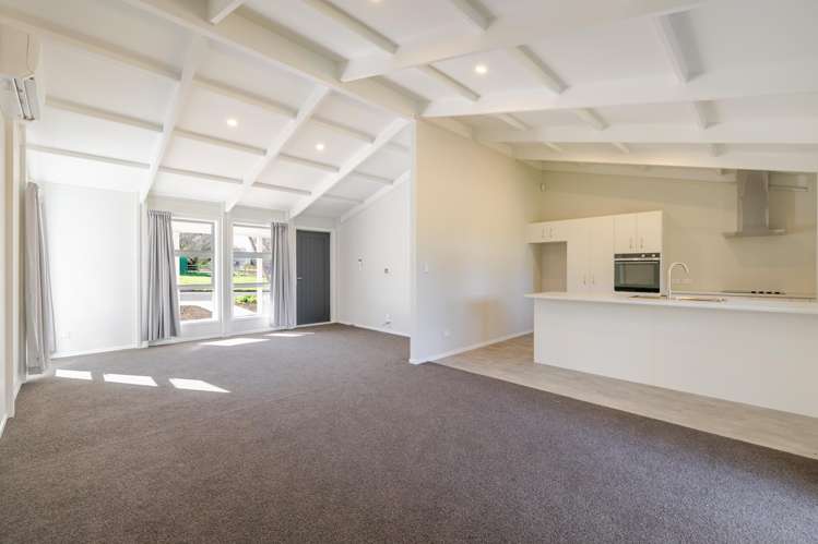 7 Fagan Street Bulls_7