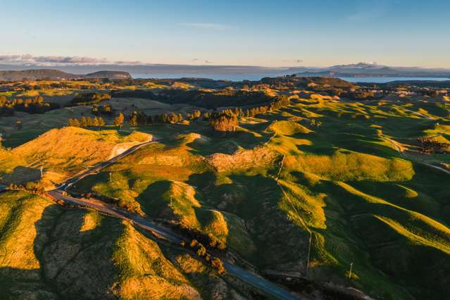 473 Otake Road Marotiri_3