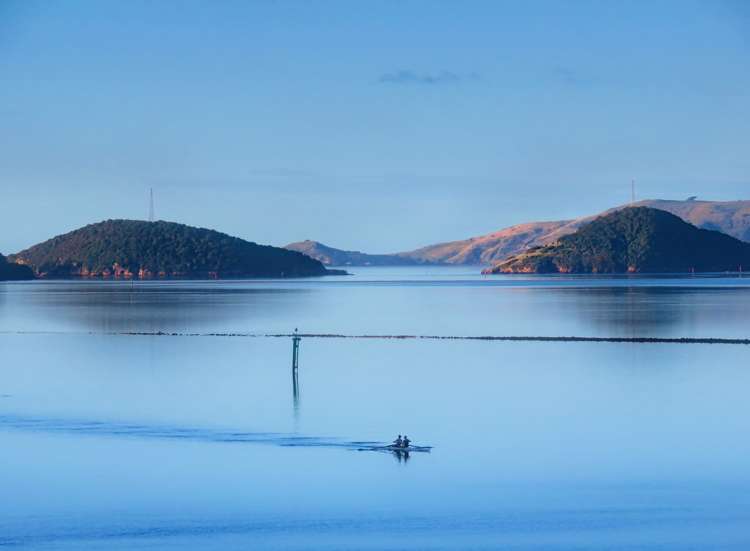 3 Kaka Road Saint Leonards_22