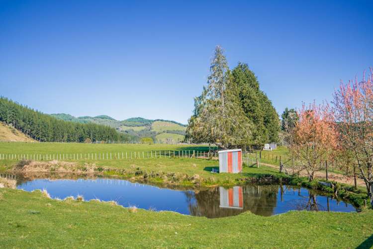 232 Kotare Road Ruakituri_5