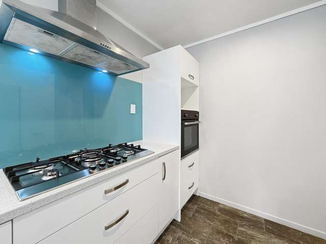 163A Whitaker Street Whataupoko_2