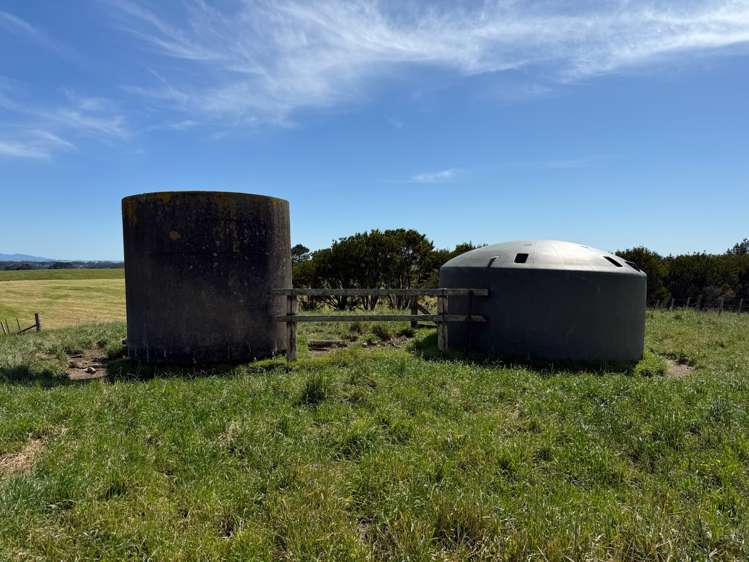 83 Norsewood Ormondville Road Norsewood_12