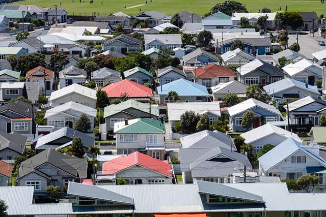 Blame Auckland! Why Wellington’s house prices soared then dropped like a brick