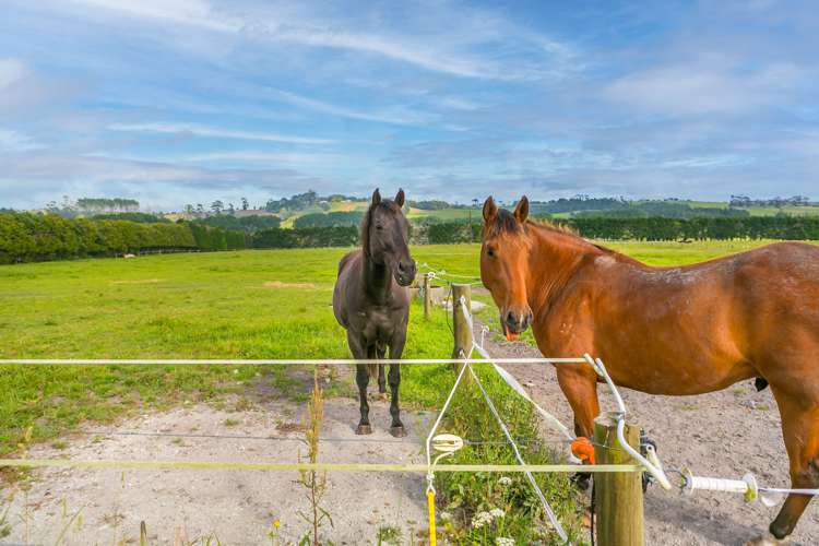 449 School Road Tomarata_25