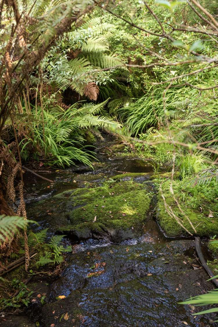 60 Victoria Street Waikino_44